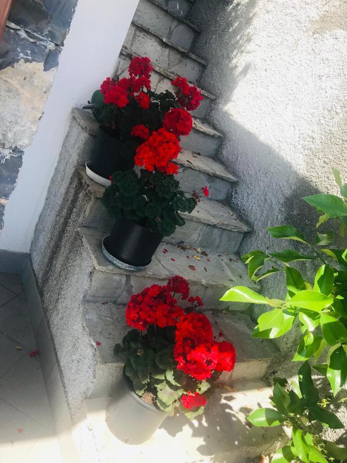 Villa TERESA Casarza Ligure Esterno foto